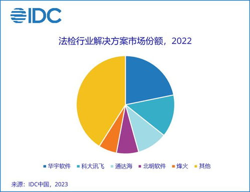 數(shù)字政府IT解決方案市場分析 291億規(guī)模下，七大廠商何以引領(lǐng)行業(yè)？
